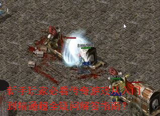 ������ұؿ�������Ϸ�����ŵ���ͨ��ȫ���ʽ��ָ�ϣ�