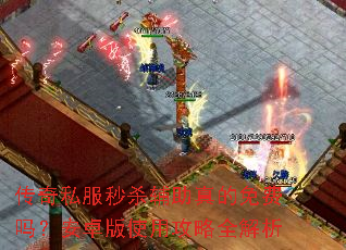 传奇私服秒杀辅助真的免费吗?安卓版使用攻略全解析 传奇私服秒杀辅助真的免费吗?安卓版使用攻略全解析