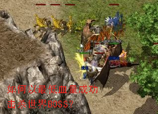 ��������Ѫ���ɹ���ɱ����BOSS��