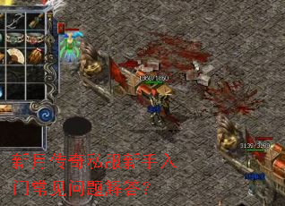 新月传奇私服新手入门常见问题解答? 新月传奇私服新手入门常见问题解答?