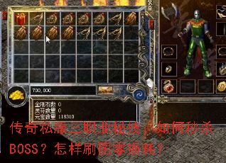 ����˽����ְҵ�ؼ��������ɱBOSS������ˢͼ����ģ�