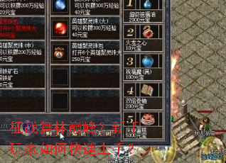 ��ս�����۷壿���������ο������֣�