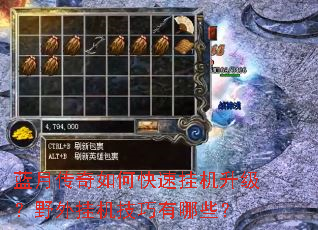 蓝月传奇如何快速挂机升级?野外挂机技巧有哪些? 蓝月传奇如何快速挂机升级?野外挂机技巧有哪些?