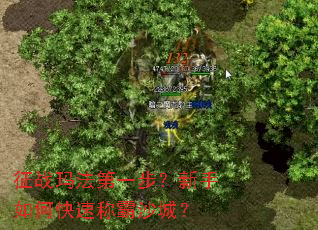 征战玛法第一步?新手如何快速称霸沙城? 征战玛法第一步?新手如何快速称霸沙城?