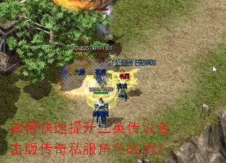 ��ο���������Ӣ��˵�ϻ��洫��˽����ɫս����