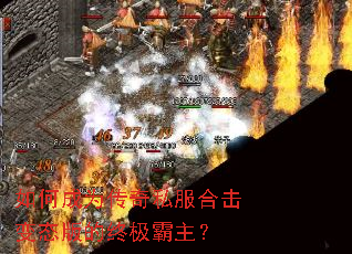 ��γ�Ϊ����˽���ϻ���̬����ռ�������