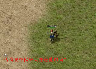 ���淢����վ���ڻ�������