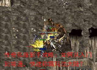 ����˽�����ֹ��ԣ���δ����ŵ���ͨ�����ٳư��귨��½��